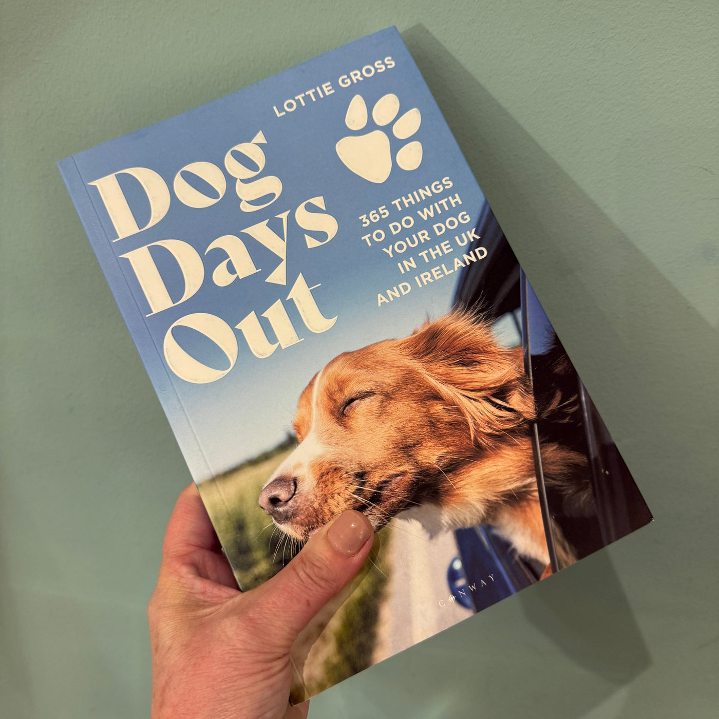 Dog Days Out