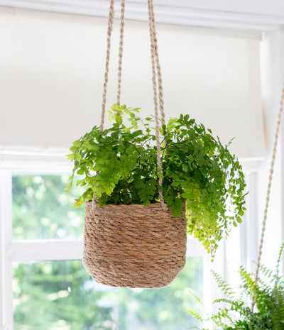 Sea grass hanging planter