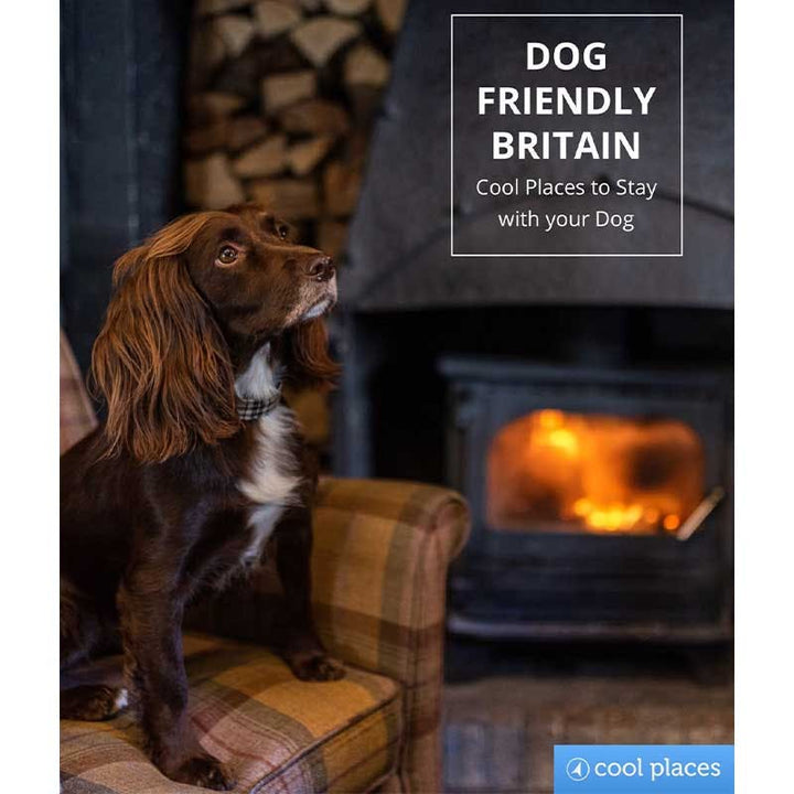 Dog Friendly Britain- Cool places