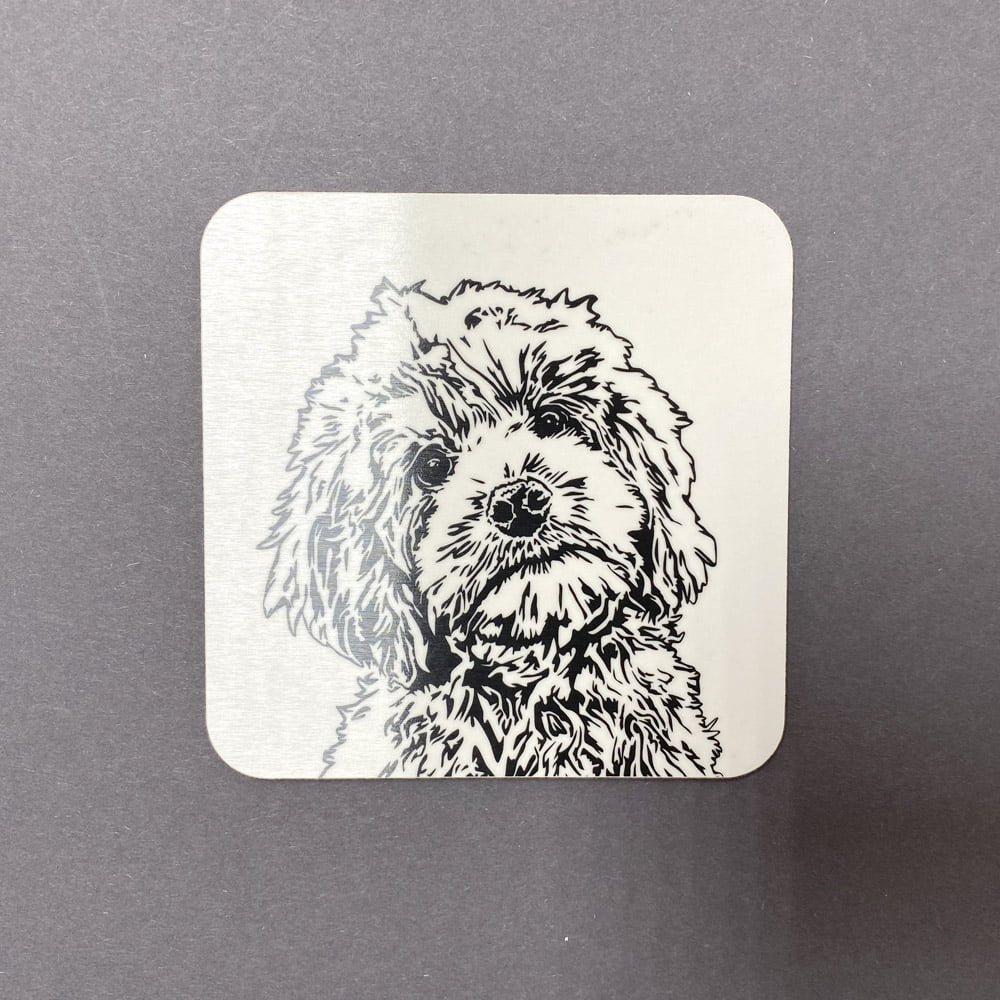 Cockapoo Dog Drinks Coaster – Calvert Jones