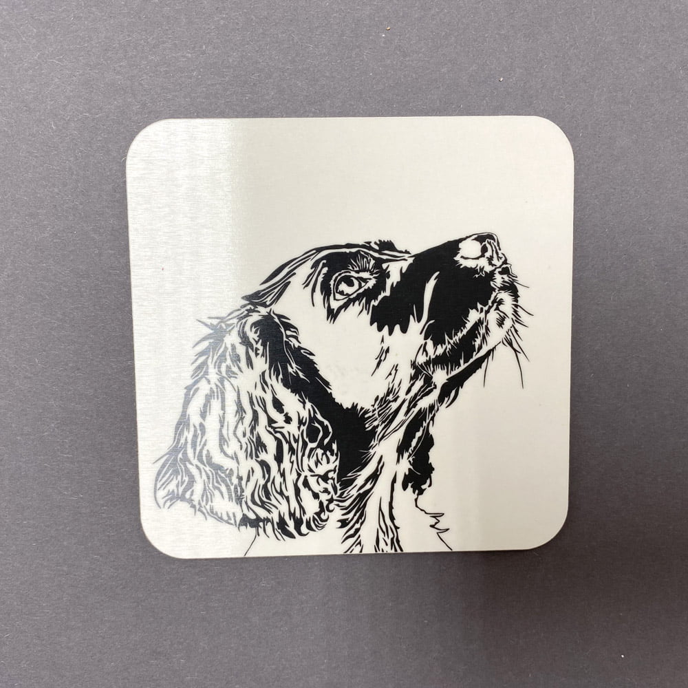 Springer Spaniel Drinks Coaster